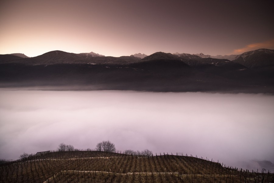 CORSO BASE DI FOTOGRAFIA 2026 con inquadratura, esposizione e post produzione. Febbraio - Aprile 2026 CORSO BASE DI FOTOGRAFIA 2026 con inquadratura, esposizione e post produzione. Febbraio - Aprile 2026